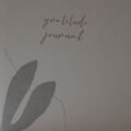 Mindfulness and gratitude journals