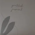 Mindfulness and gratitude journals