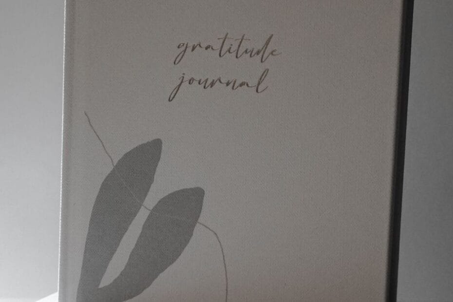 Mindfulness and gratitude journals