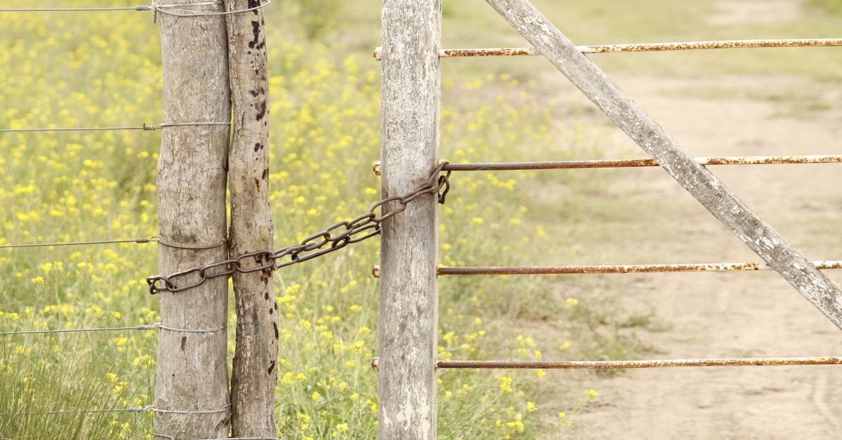 Setting Boundaries