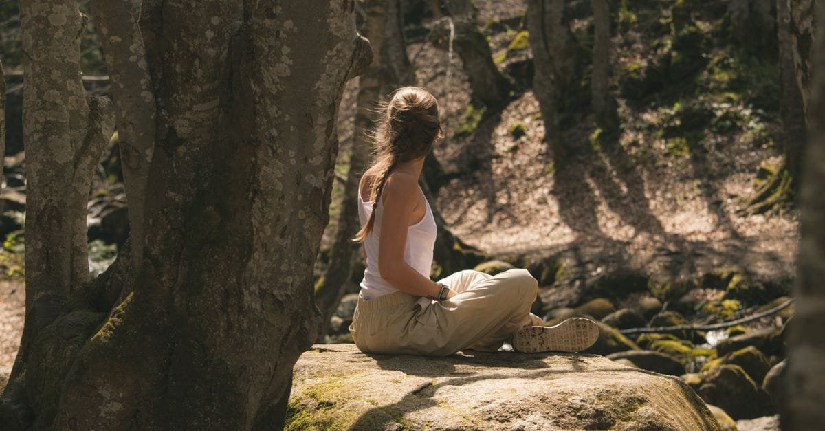 Forest Bathing