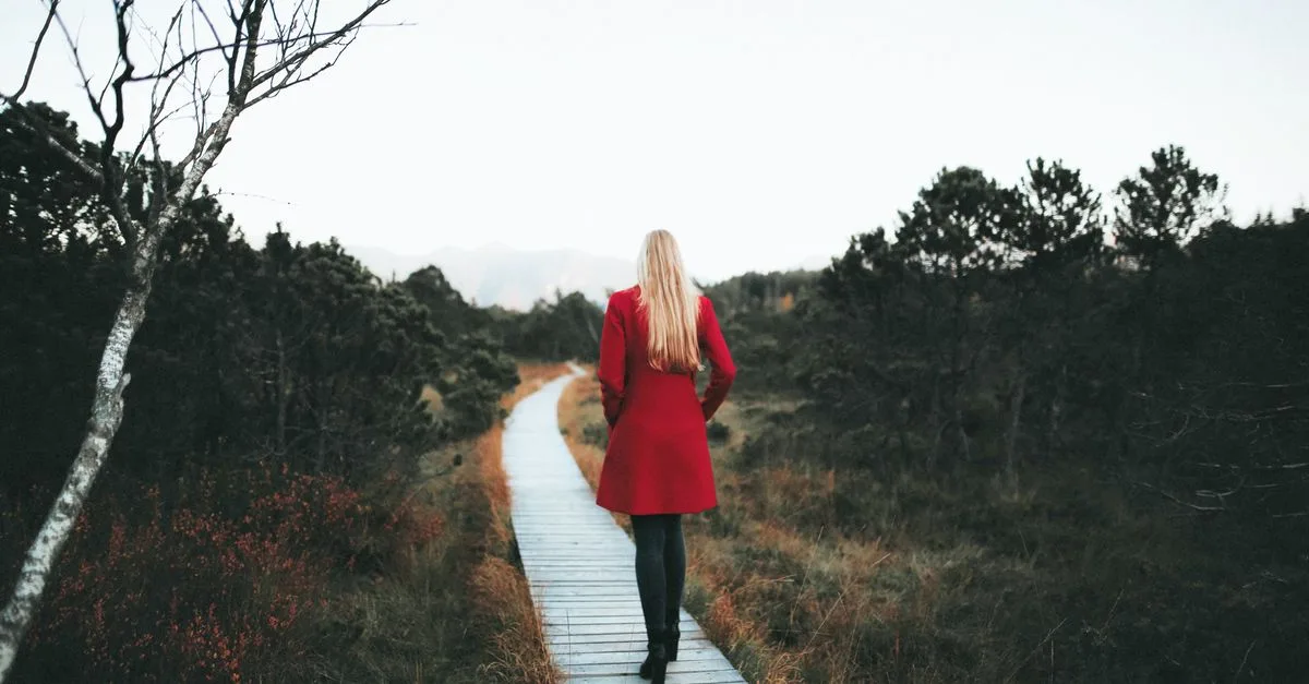 A solo walk in nature to recharge