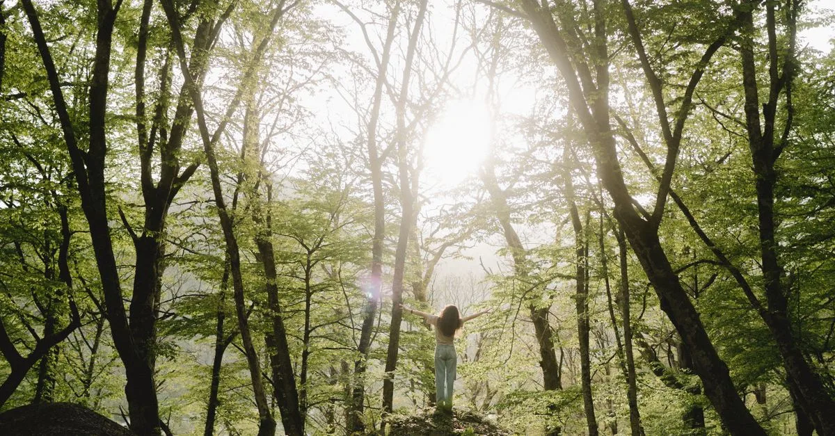 Forest Bathing
