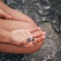 Calm grounding and meditation