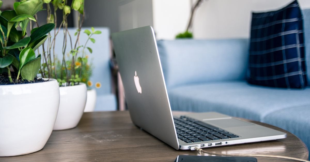 A laptop on a desk beside potted plants
