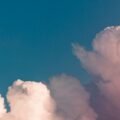 pexels photo 3560044 1