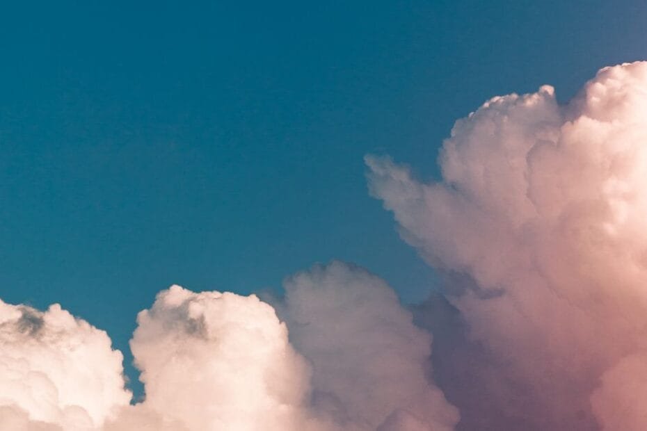 pexels photo 3560044 1