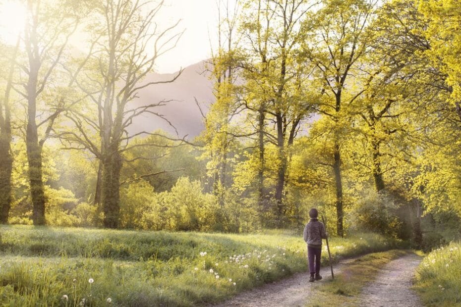 path andar field landscape 160636