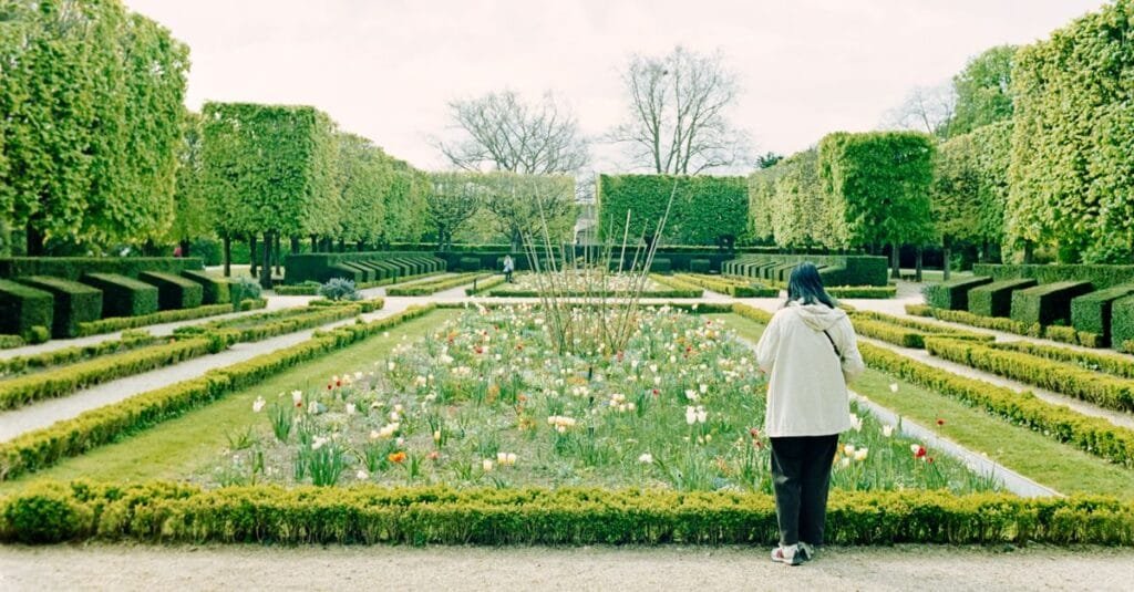 A peaceful walk through a garden